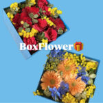 BoxFlower🎁